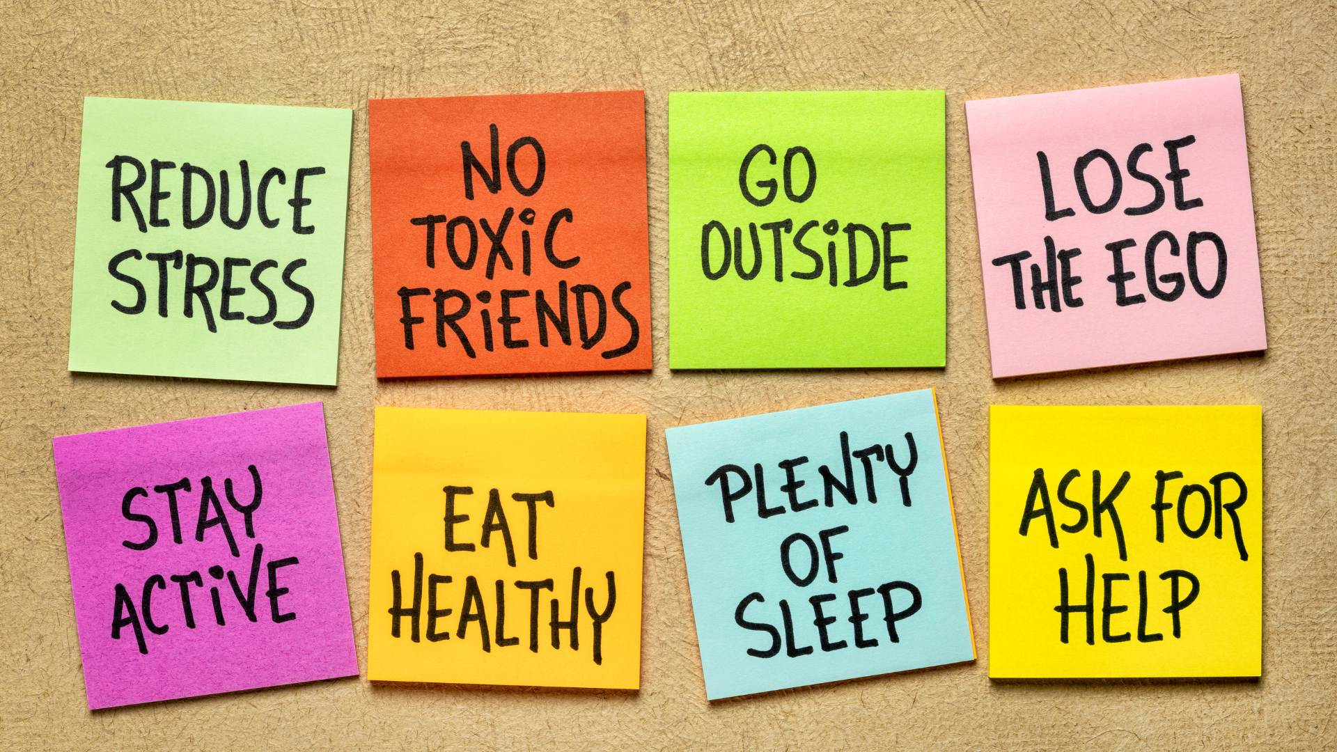 Build Foundational Daily Habits