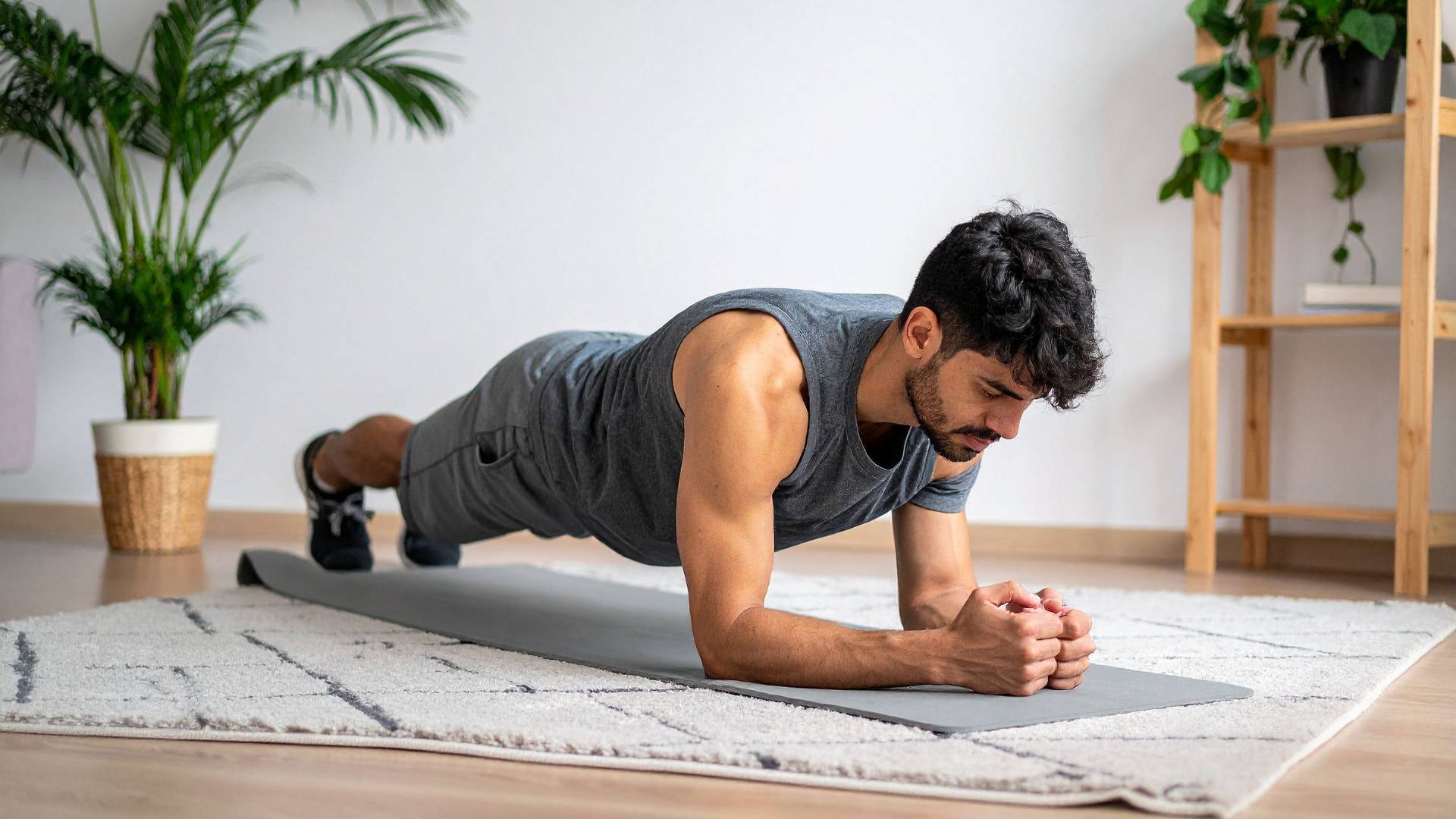 Plank Holds