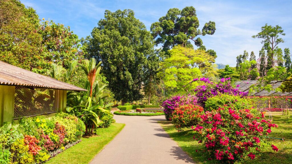 Visit a Botanical Garden