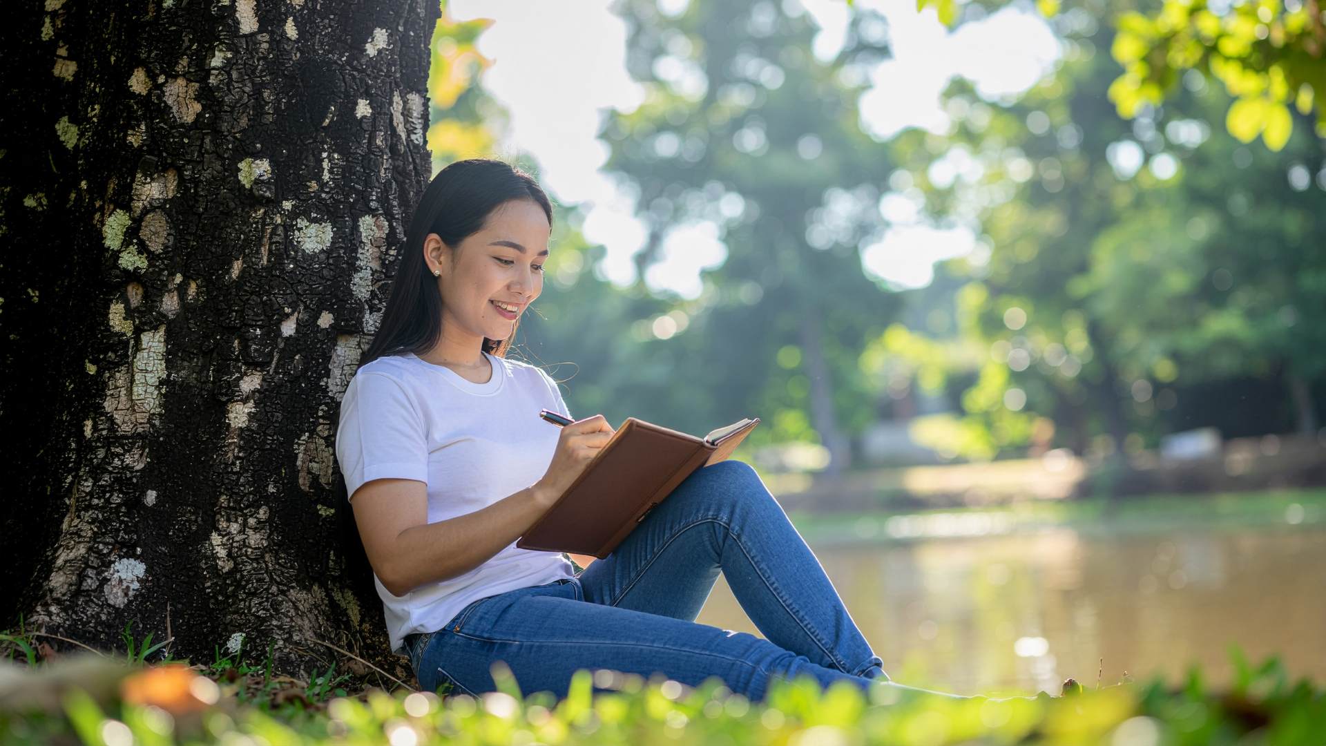 Journal Under a Tree