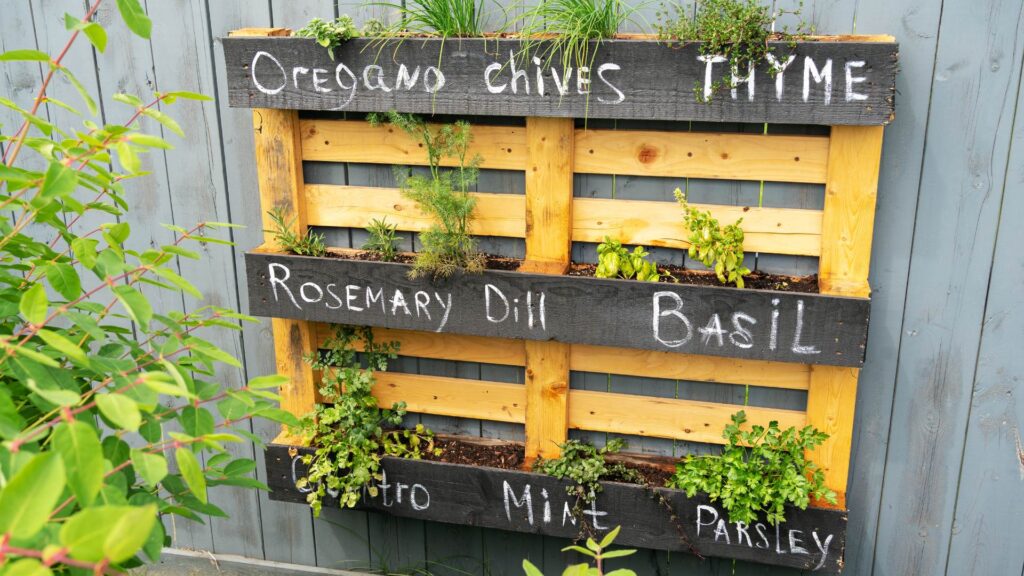 Start a Small Herb Garden