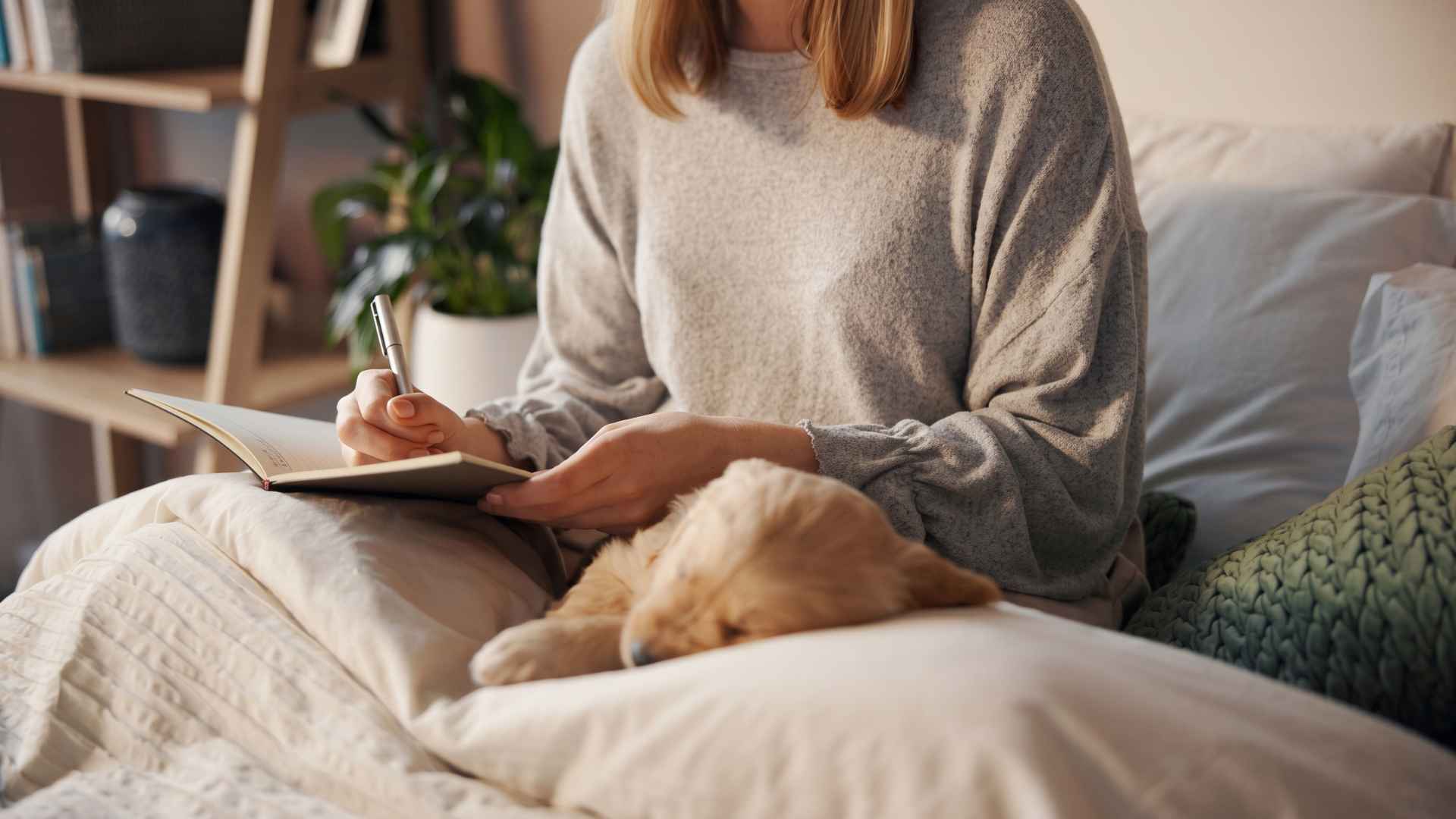 Best Confidence Workbook For Adults With Self Doubt